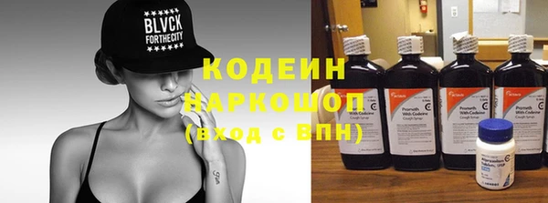 дмт Елизово