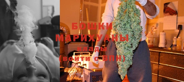 индика Пролетарск