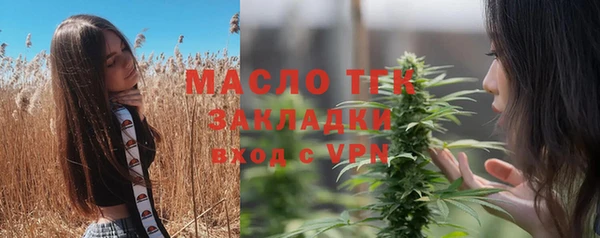 дмт Елизово