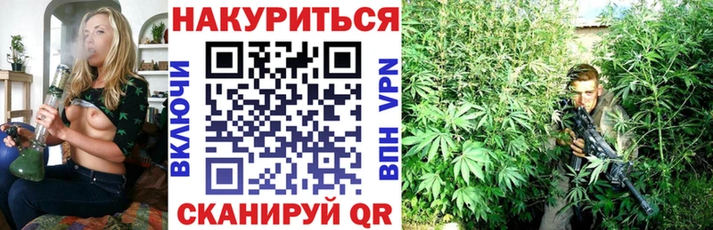 кракен вход  Рошаль  Бошки Шишки AK-47  сколько стоит 